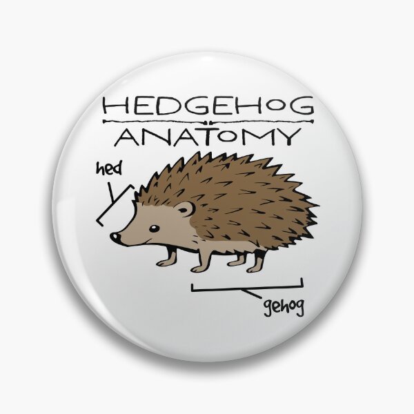 Artikelvorschau, Anatomie des Igels entworfen und verkauft von Angry Swan Designs.