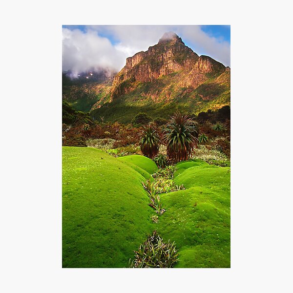 Item preview, Morning light on Mount Anne designed and sold by Kevin McGennan.