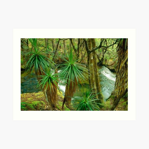 Pine Valley, Tasmania Art Print