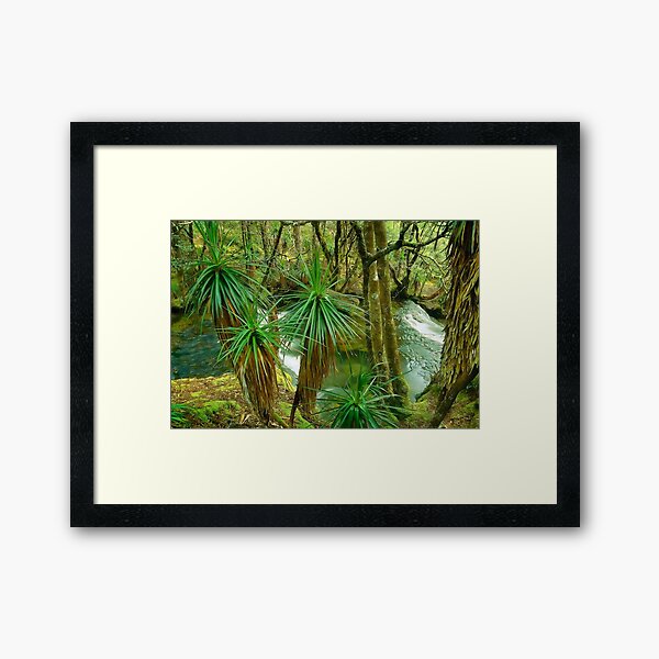 Pine Valley, Tasmania Framed Art Print