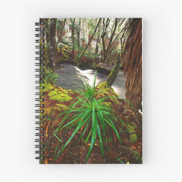 Item preview, Pine Valley in winter, Tasmania designed and sold by Kevin McGennan.