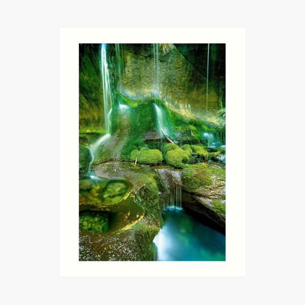 Rainforest Cascades, Tasmania Art Print