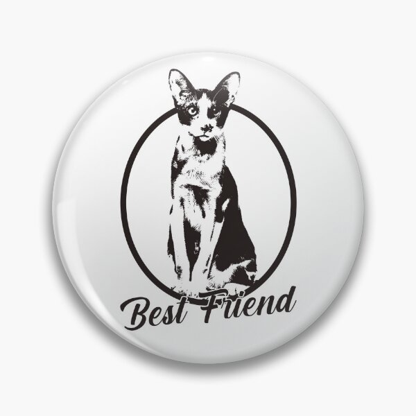 Item preview, Oriental Shorthair cat best pet you have // best breed cat designed and sold by Pet Path.