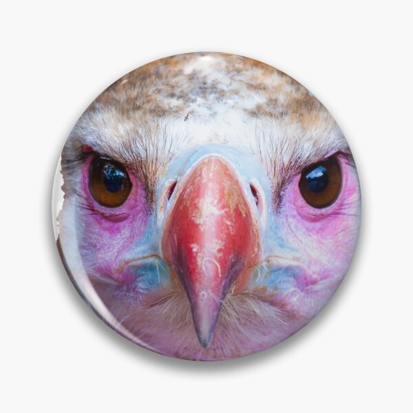 Item preview, Cinereous Vulture designed and sold by Dalyndigital Photography.