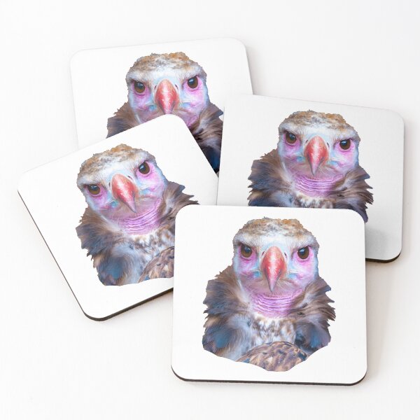 Item preview, Cinereous Vulture designed and sold by Dalyndigital Photography.