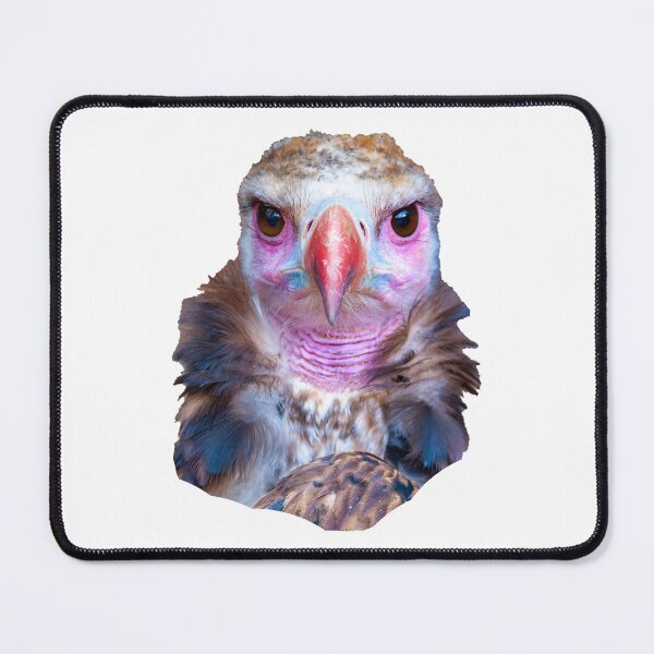 Item preview, Cinereous Vulture designed and sold by Dalyndigital Photography.