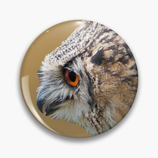 Item preview, Eagle Owl threat display designed and sold by Dalyndigital Photography.