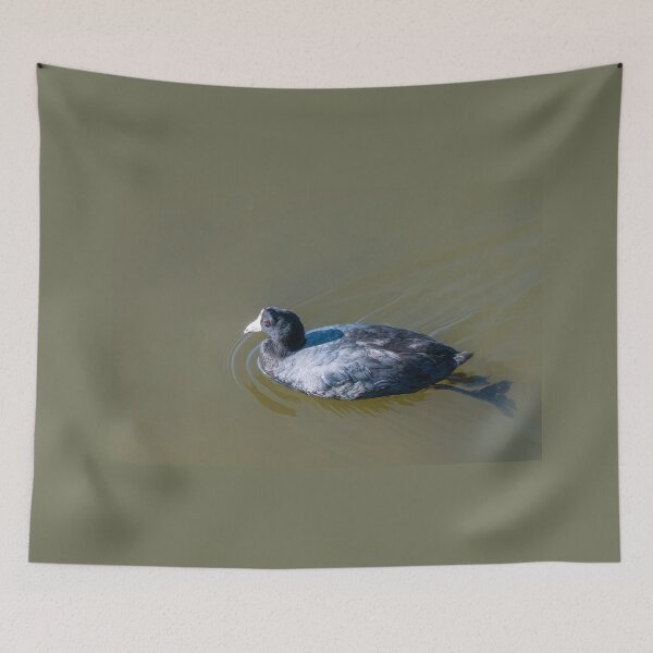 Item preview, Swimming American Coot designed and sold by Debra Martz.
