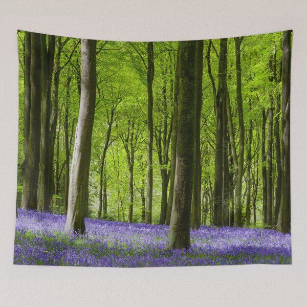 Item preview, Bluebells and Beech designed and sold by Craig Joiner.