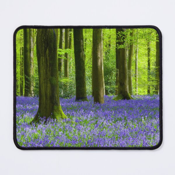 Item preview, Bluebells and Beech designed and sold by Craig Joiner.