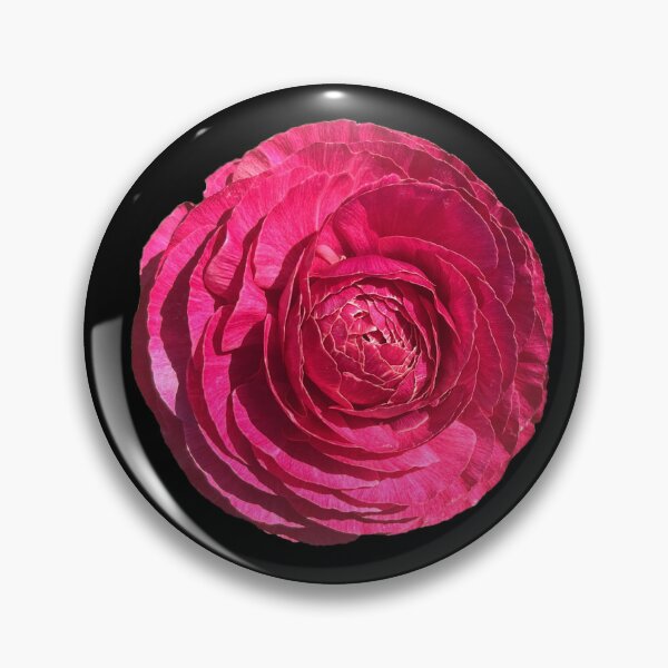 Item preview, Pink Ranunculus designed and sold by ascherf.