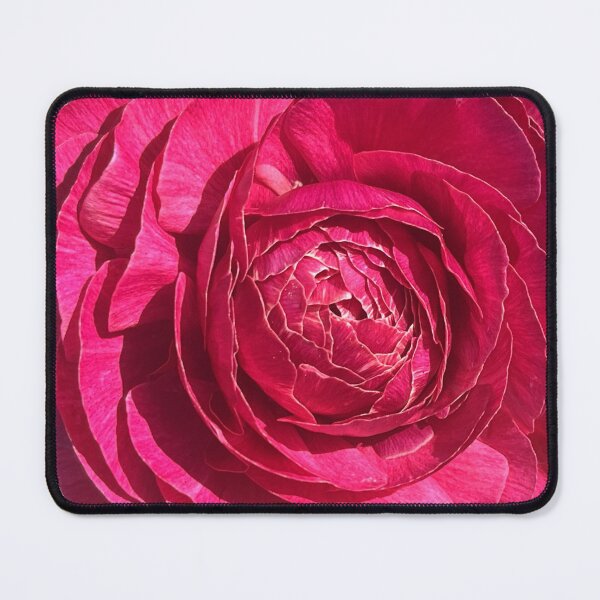 Item preview, Pink Ranunculus designed and sold by ascherf.