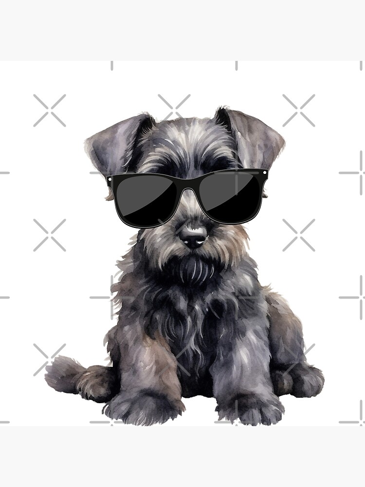 Giant Schnauzer Puppy Wearing Sunglasses Photographic Print