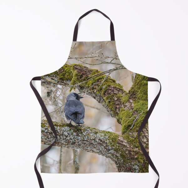 Item preview, Eurasian jackdaw and an old tree designed and sold by Jouko Lehto Photography.
