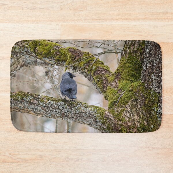 Item preview, Eurasian jackdaw and an old tree designed and sold by Jouko Lehto Photography.