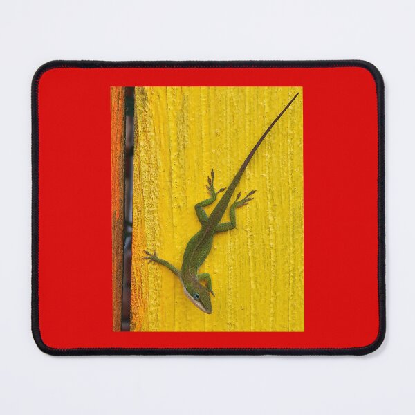 Item preview, Anoles a genius of Lizards designed and sold by Lacey Schmidt.