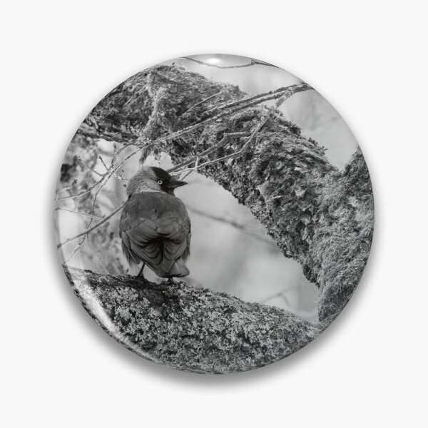 Item preview, Eurasian jackdaw and an old tree bw designed and sold by Jouko Lehto Photography.