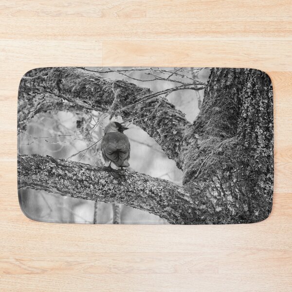 Item preview, Eurasian jackdaw and an old tree bw designed and sold by Jouko Lehto Photography.