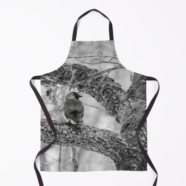 Item preview, Eurasian jackdaw and an old tree bw designed and sold by Jouko Lehto Photography.