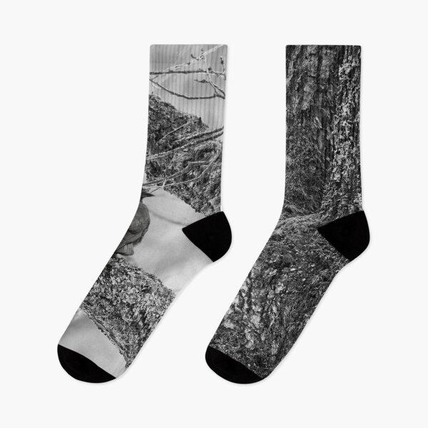 Item preview, Eurasian jackdaw and an old tree bw designed and sold by Jouko Lehto Photography.