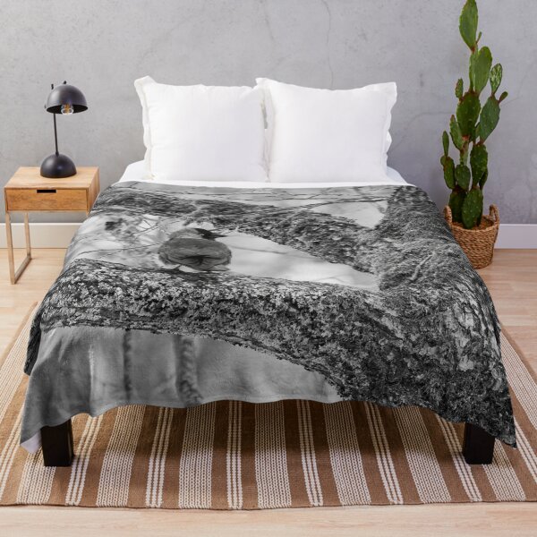 Item preview, Eurasian jackdaw and an old tree bw designed and sold by Jouko Lehto Photography.
