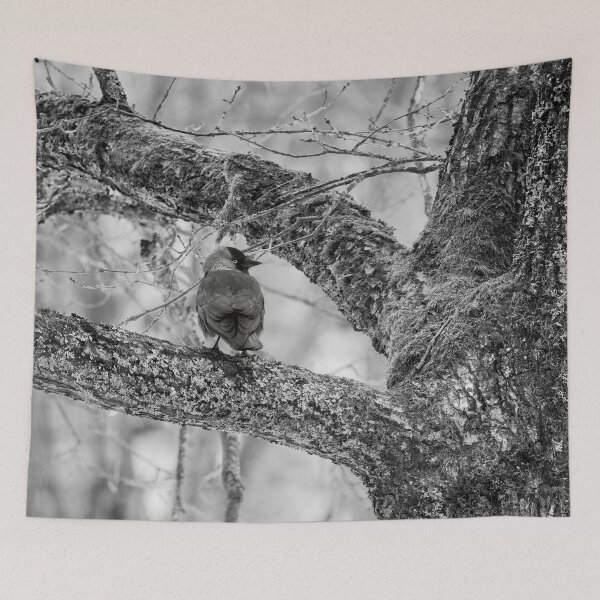 Item preview, Eurasian jackdaw and an old tree bw designed and sold by Jouko Lehto Photography.