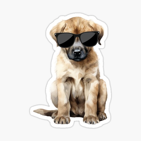 Artikel-Vorschau von Kangal-Welpe mit Sonnenbrille, designt und verkauft von TheAnimalZ00.