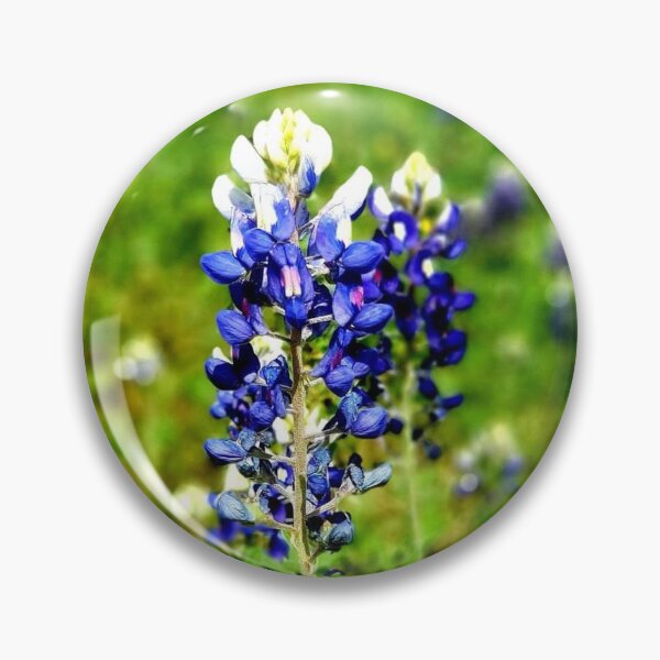 Item preview, Fields of Blue, Starring the Bluebonnet designed and sold by Lacey Schmidt.