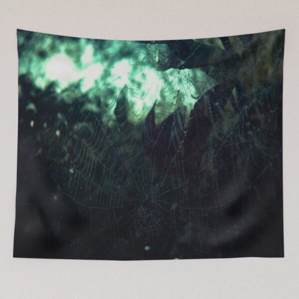 Item preview, Spiderweb designed and sold by Promethea Echenique.