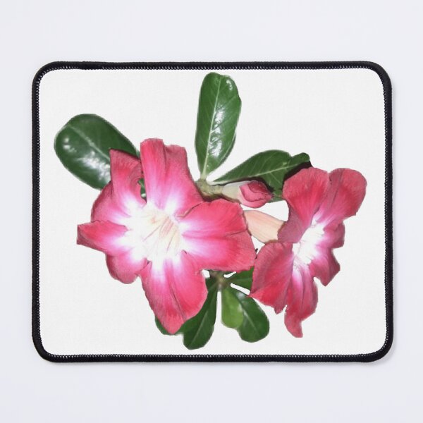 Item preview, Desert Rose designed and sold by sanyamangme.