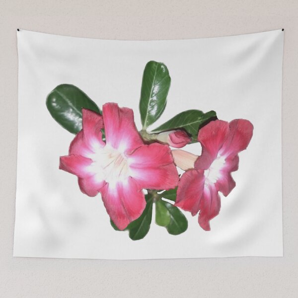 Item preview, Desert Rose designed and sold by sanyamangme.