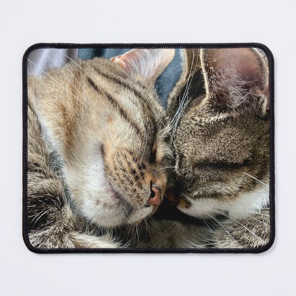 Item preview, Kitty love designed and sold by Clare Farris.