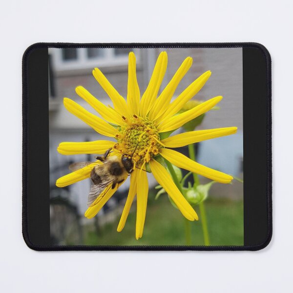 Item preview, Busy Bumblebee on Yellow Flower designed and sold by WhiteSoftPetals.