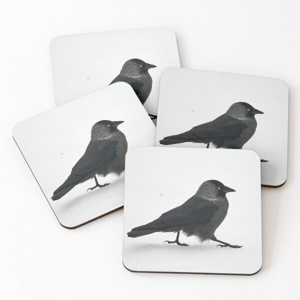 Item preview, On the daywalk. Eurasian jackdaw designed and sold by Jouko Lehto Photography.