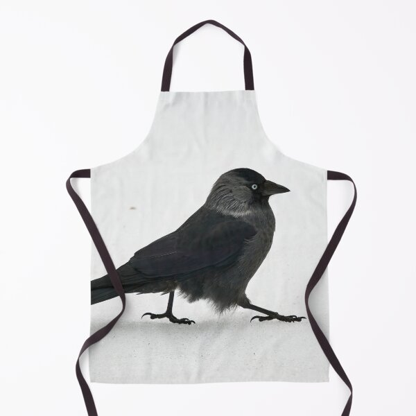 Item preview, On the daywalk. Eurasian jackdaw designed and sold by Jouko Lehto Photography.