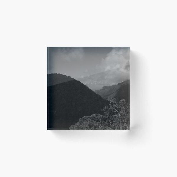 Item preview, Tijuca Park, Rio de Janeiro designed and sold by Promethea Echenique.