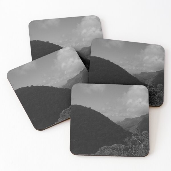 Item preview, Tijuca Park, Rio de Janeiro designed and sold by Promethea Echenique.