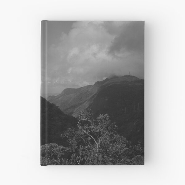 Item preview, Tijuca Park, Rio de Janeiro designed and sold by Promethea Echenique.