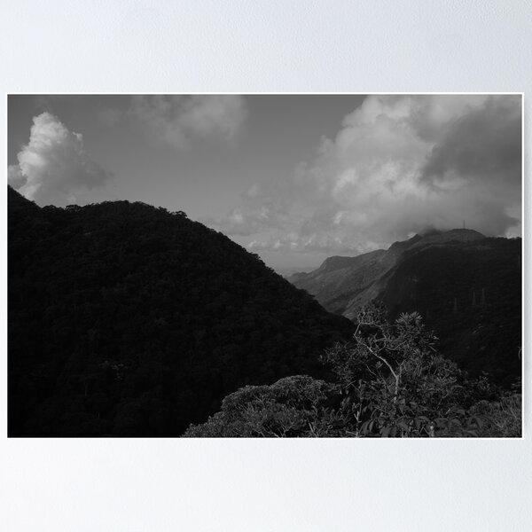Item preview, Tijuca Park, Rio de Janeiro designed and sold by Promethea Echenique.