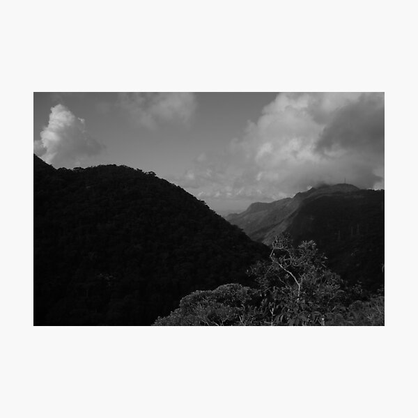 Item preview, Tijuca Park, Rio de Janeiro designed and sold by Promethea Echenique.