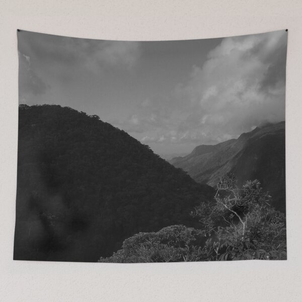Item preview, Tijuca Park, Rio de Janeiro designed and sold by Promethea Echenique.