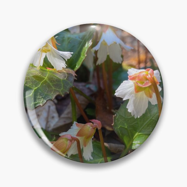Item preview, Oconee Bells designed and sold by Mountain-Wares.