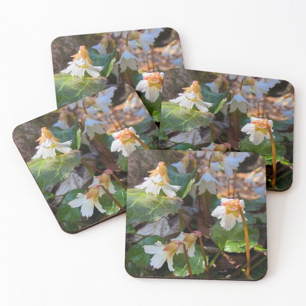 Item preview, Oconee Bells designed and sold by Mountain-Wares.