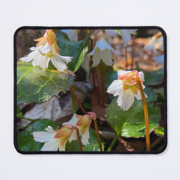 Item preview, Oconee Bells designed and sold by Mountain-Wares.