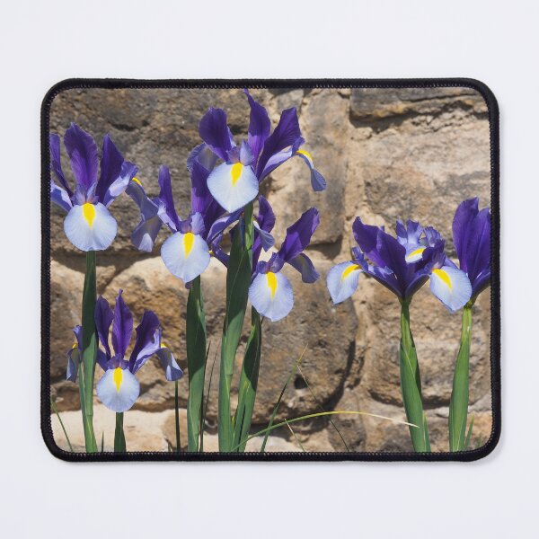 Item preview, Purple Irises designed and sold by Anna Fairley Nielsson.