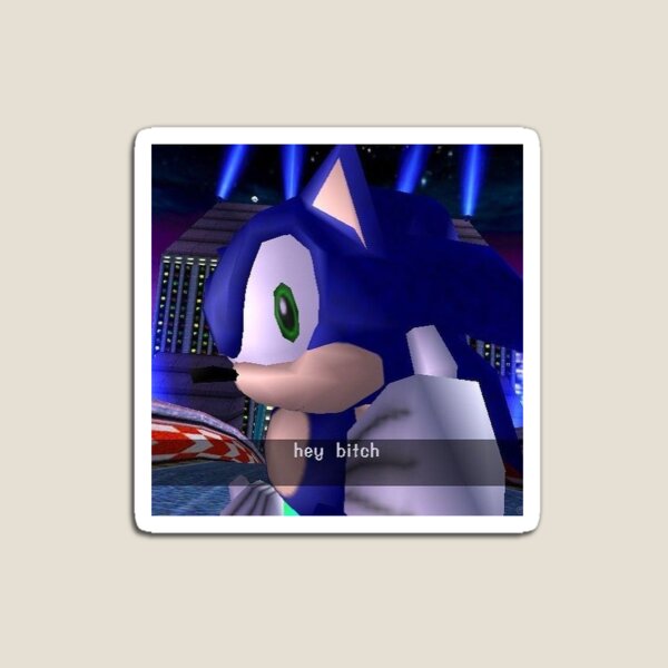 Item preview, hey bitch Sonic the Hedgehog Meme designed and sold by neogirl.
