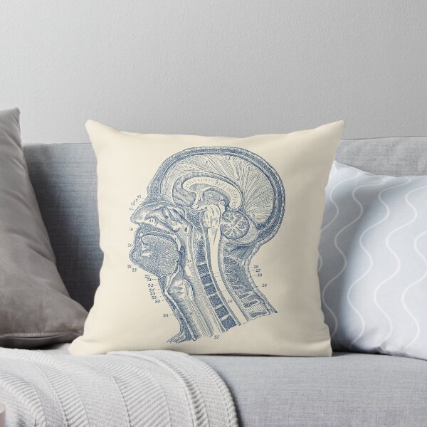 Item preview, Human Brain Structures - Vintage Anatomy  designed and sold by VAposters.