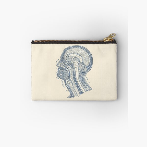 Item preview, Human Brain Structures - Vintage Anatomy  designed and sold by VAposters.