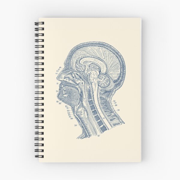 Item preview, Human Brain Structures - Vintage Anatomy  designed and sold by VAposters.