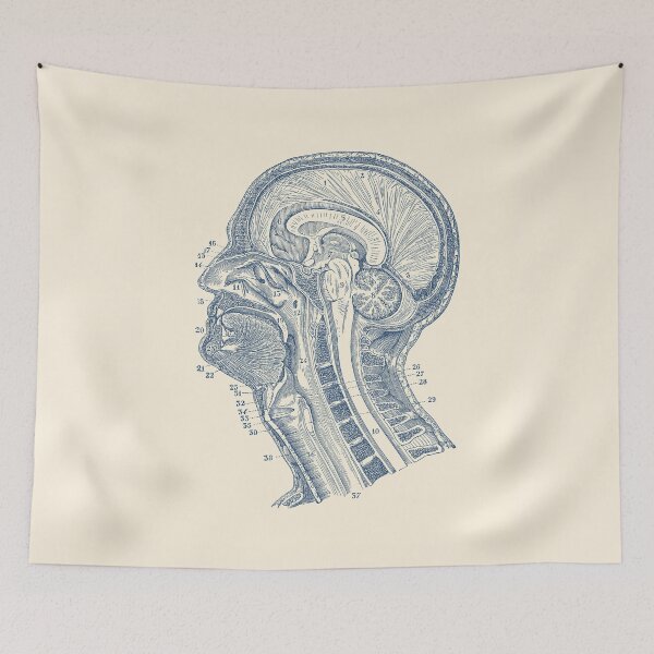 Item preview, Human Brain Structures - Vintage Anatomy  designed and sold by VAposters.